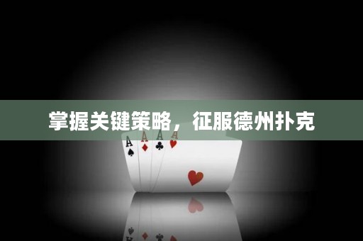 掌握關(guān)鍵策略，征服德州撲克