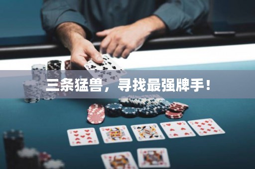 三條猛獸，尋找最強牌手！