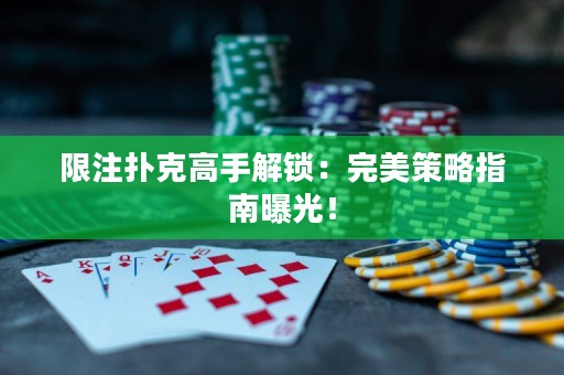 限注撲克高手解鎖：完美策略指南曝光！