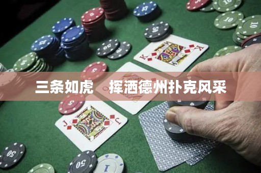 三條如虎　揮灑德州撲克風(fēng)采