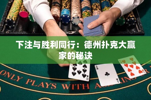 下注與勝利同行：德州撲克大贏家的秘訣