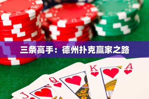 三條高手：德州撲克贏家之路