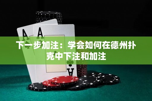 下一步加注：學(xué)會(huì)如何在德州撲克中下注和加注
