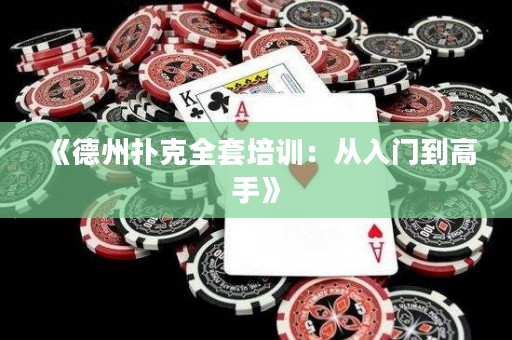 《德州撲克全套培訓(xùn)：從入門到高手》