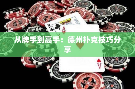 從牌手到高手：德州撲克技巧分享