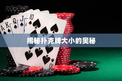揭秘?fù)淇伺拼笮〉膴W秘