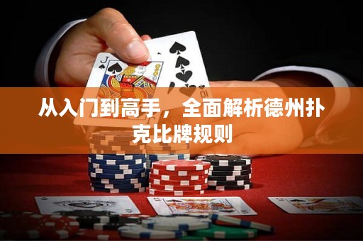 從入門(mén)到高手，全面解析德州撲克比牌規(guī)則
