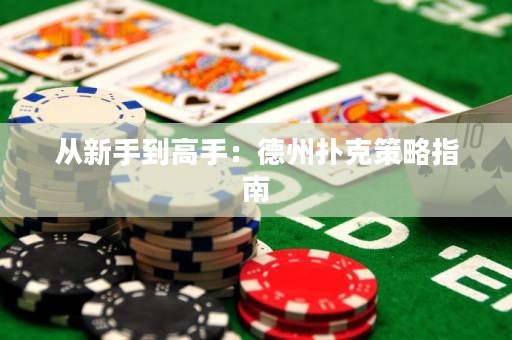 從新手到高手：德州撲克策略指南