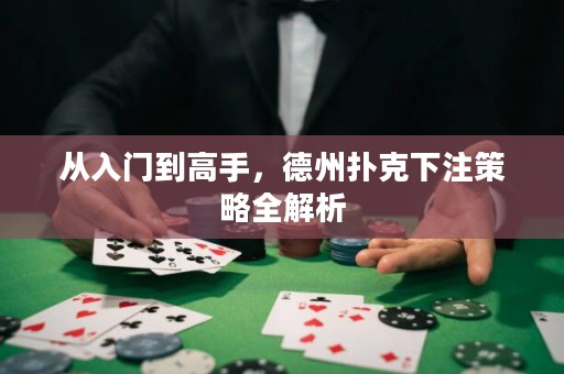 從入門到高手，德州撲克下注策略全解析