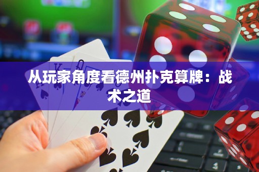 從玩家角度看德州撲克算牌：戰(zhàn)術(shù)之道