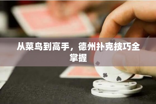 從菜鳥到高手，德州撲克技巧全掌握