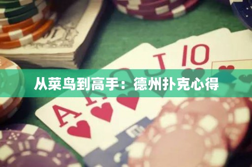 從菜鳥到高手：德州撲克心得