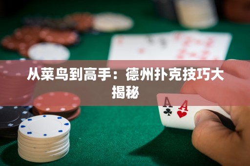 從菜鳥(niǎo)到高手：德州撲克技巧大揭秘