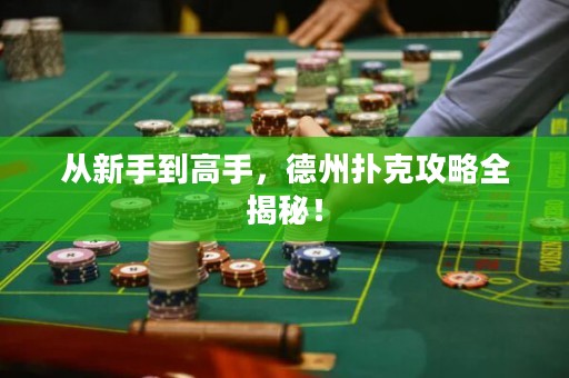 從新手到高手，德州撲克攻略全揭秘！