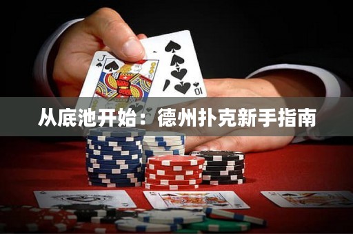 從底池開始：德州撲克新手指南