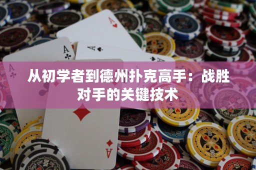 從初學(xué)者到德州撲克高手：戰(zhàn)勝對(duì)手的關(guān)鍵技術(shù)