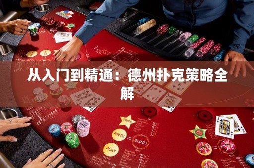 從入門到精通：德州撲克策略全解