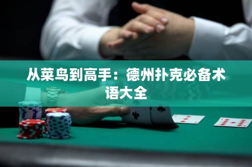 從菜鳥到高手：德州撲克必備術(shù)語(yǔ)大全