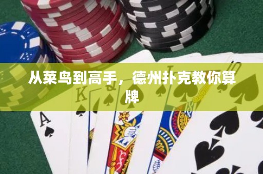 從菜鳥到高手，德州撲克教你算牌