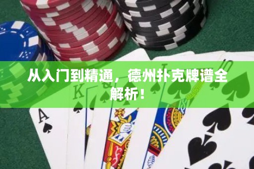 從入門到精通，德州撲克牌譜全解析！