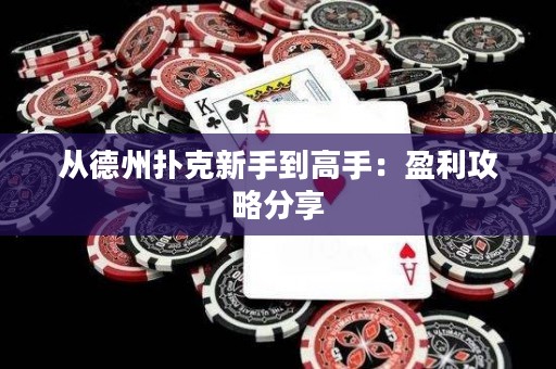 從德州撲克新手到高手：盈利攻略分享