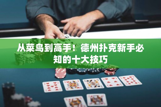 從菜鳥到高手！德州撲克新手必知的十大技巧