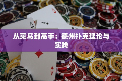 從菜鳥到高手：德州撲克理論與實(shí)踐