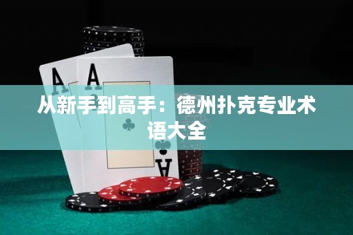 從新手到高手：德州撲克專業(yè)術(shù)語(yǔ)大全