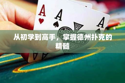 從初學(xué)到高手，掌握德州撲克的精髓