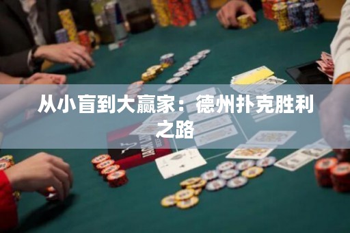 從小盲到大贏家：德州撲克勝利之路