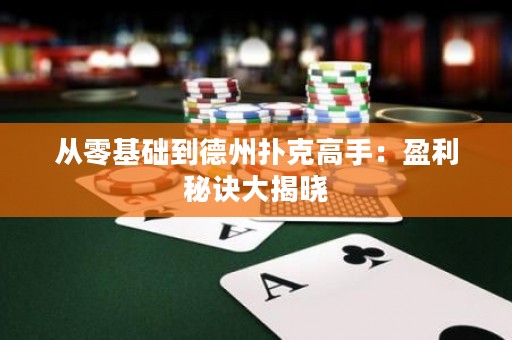 從零基礎(chǔ)到德州撲克高手：盈利秘訣大揭曉
