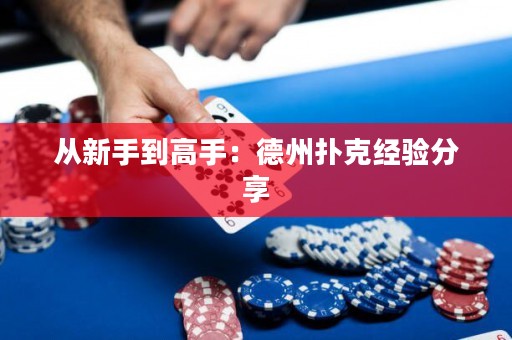 從新手到高手：德州撲克經(jīng)驗分享