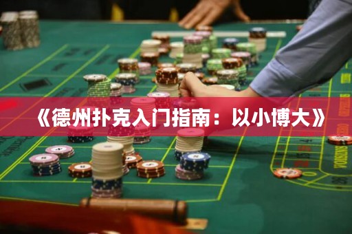 《德州撲克入門指南：以小博大》