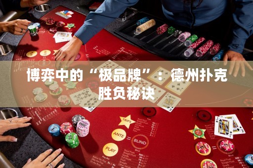 博弈中的“極品牌”：德州撲克勝負(fù)秘訣