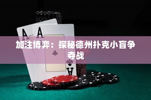 加注博弈：探秘德州撲克小盲爭奪戰(zhàn)