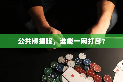 公共牌揭曉，誰能一網(wǎng)打盡？