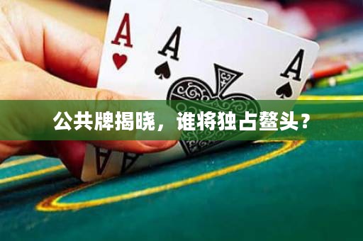 公共牌揭曉，誰(shuí)將獨(dú)占鰲頭？