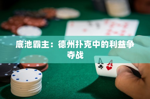 底池霸主：德州撲克中的利益爭(zhēng)奪戰(zhàn)