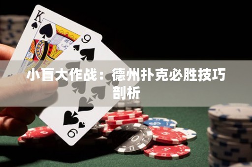 小盲大作戰(zhàn)：德州撲克必勝技巧剖析