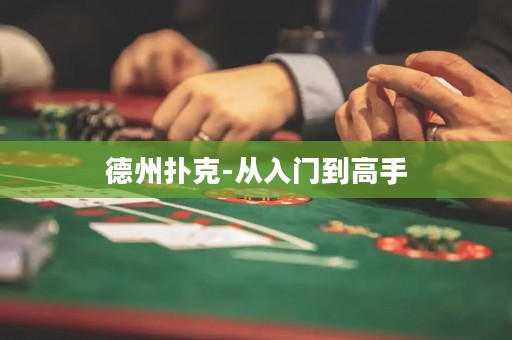德州撲克-從入門(mén)到高手