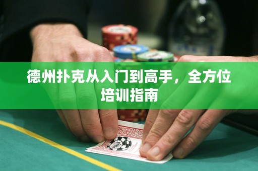 德州撲克從入門到高手，全方位培訓(xùn)指南