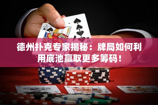 德州撲克專家揭秘：牌局如何利用底池贏取更多籌碼！