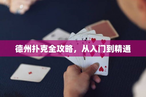 德州撲克全攻略，從入門到精通