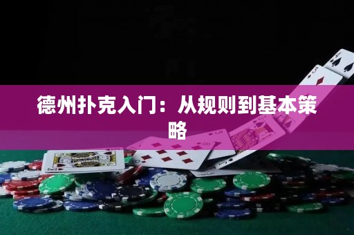 德州撲克入門(mén)：從規(guī)則到基本策略