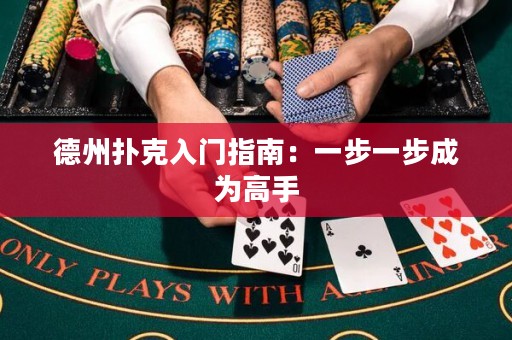德州撲克入門指南：一步一步成為高手