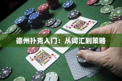 德州撲克入門(mén)：從詞匯到策略
