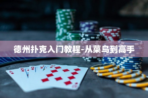 德州撲克入門教程-從菜鳥到高手