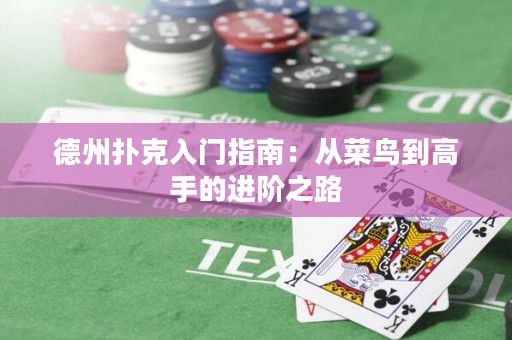 德州撲克入門指南：從菜鳥到高手的進(jìn)階之路