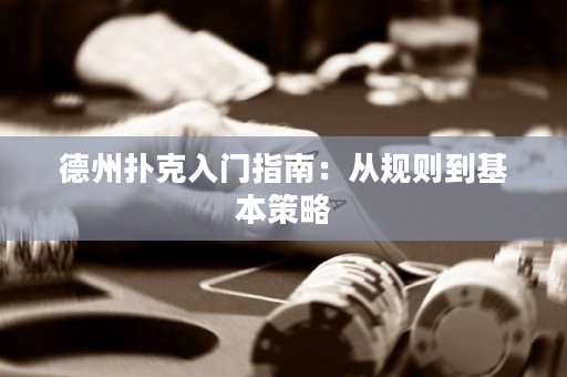德州撲克入門指南：從規(guī)則到基本策略