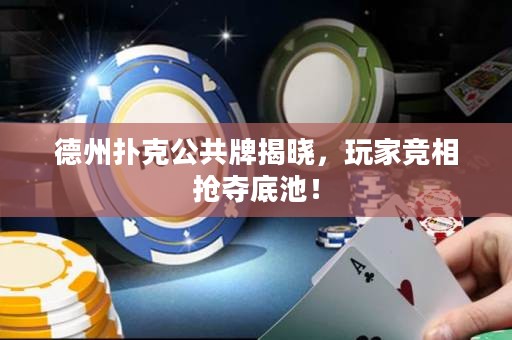 德州撲克公共牌揭曉，玩家競相搶奪底池！